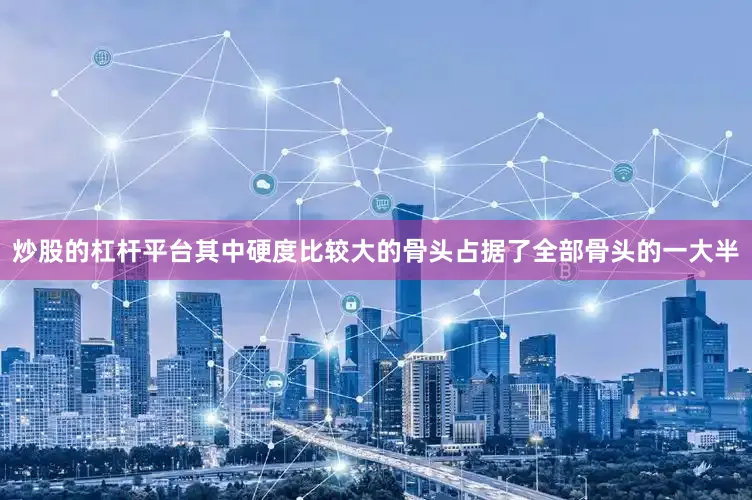炒股的杠杆平台其中硬度比较大的骨头占据了全部骨头的一大半